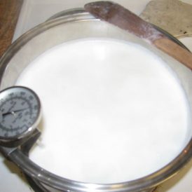 Homemade Paneer Cheese Image